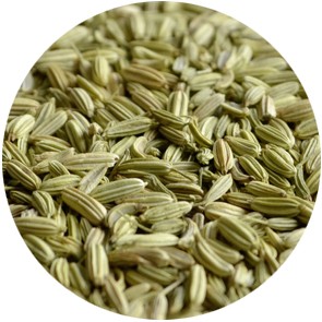 Bio Fenchel ganz