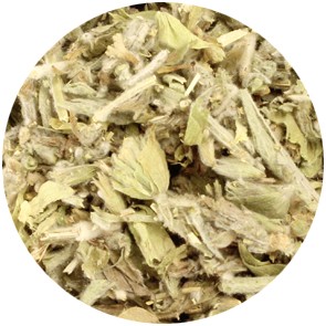 Griechischer Bergkräutertee
